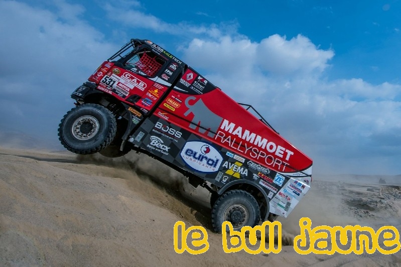 MAMMOET 410242, RENAULT K 520 Rally Sport DAKAR 2019 le-bull-jaune