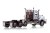 MACK Kyle Titan 2009 Hemmersbach Trucking