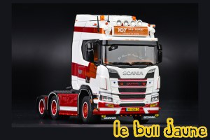 SCANIA R Van Dorst Logistics 